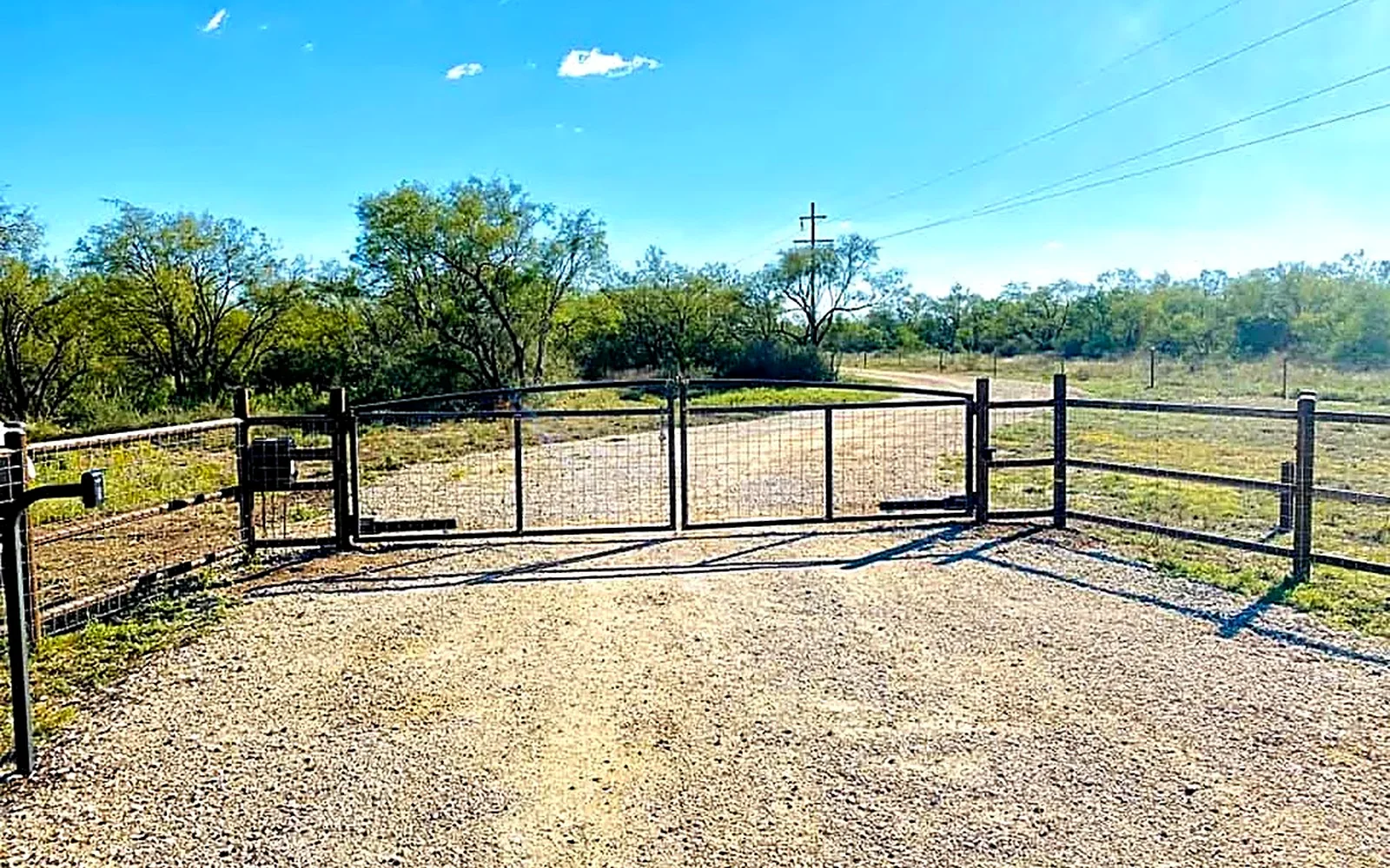 Ranch landscape with cattle and a fence line